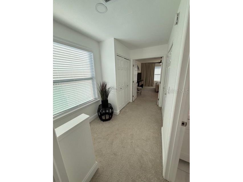 16077 Dawnview Drive Tampa FL 33624 A4679073 image18