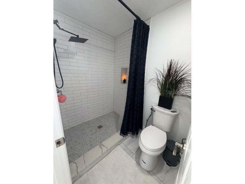 16077 Dawnview Drive Tampa FL 33624 A4679073 image24