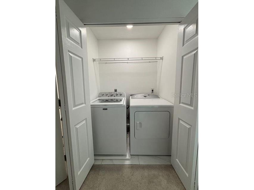 16077 Dawnview Drive Tampa FL 33624 A4679073 image25