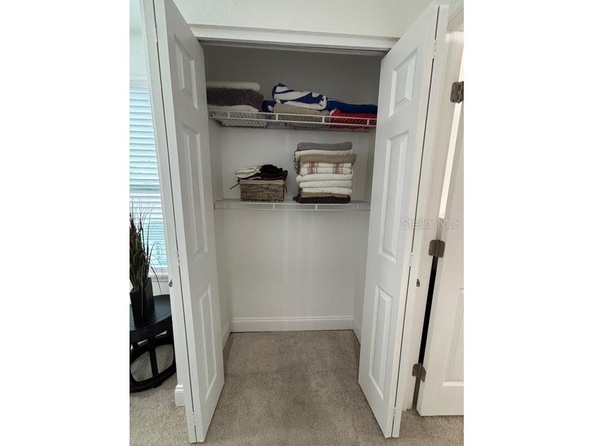 16077 Dawnview Drive Tampa FL 33624 A4679073 image26