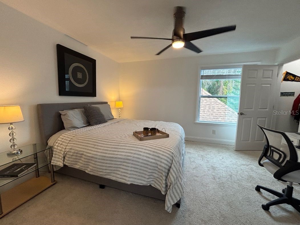 16077 Dawnview Drive Tampa FL 33624 A4679073 image28