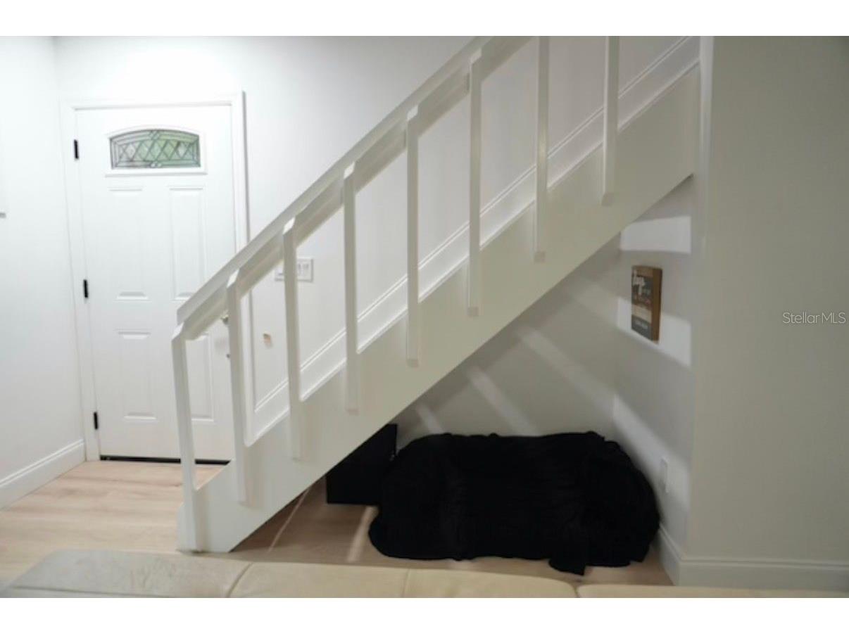 16077 Dawnview Drive Tampa FL 33624 A4679073 image30