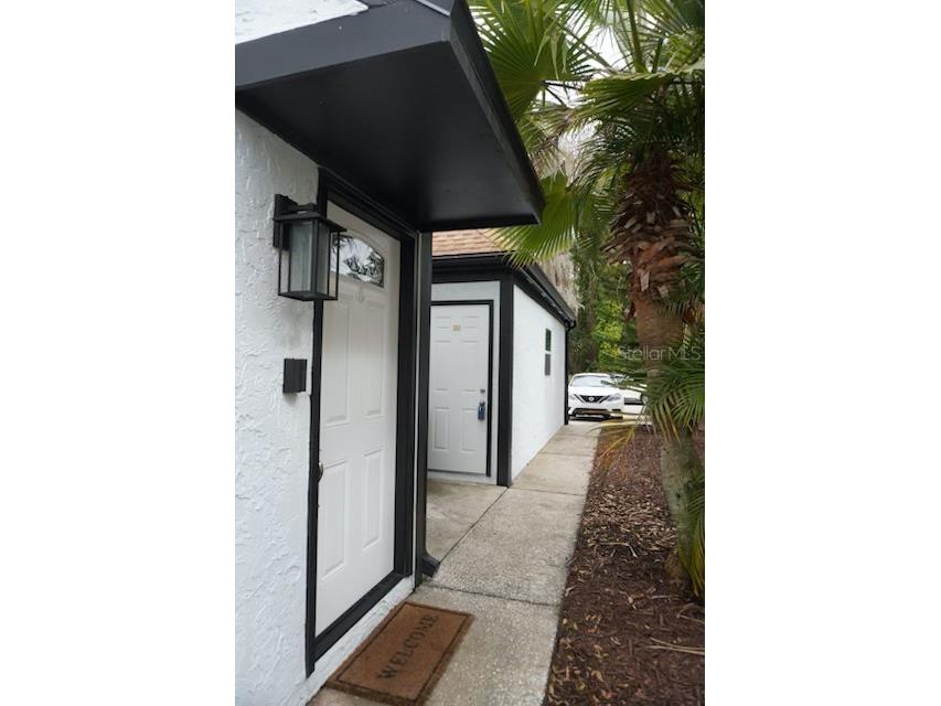 16077 Dawnview Drive Tampa FL 33624 A4679073 image41