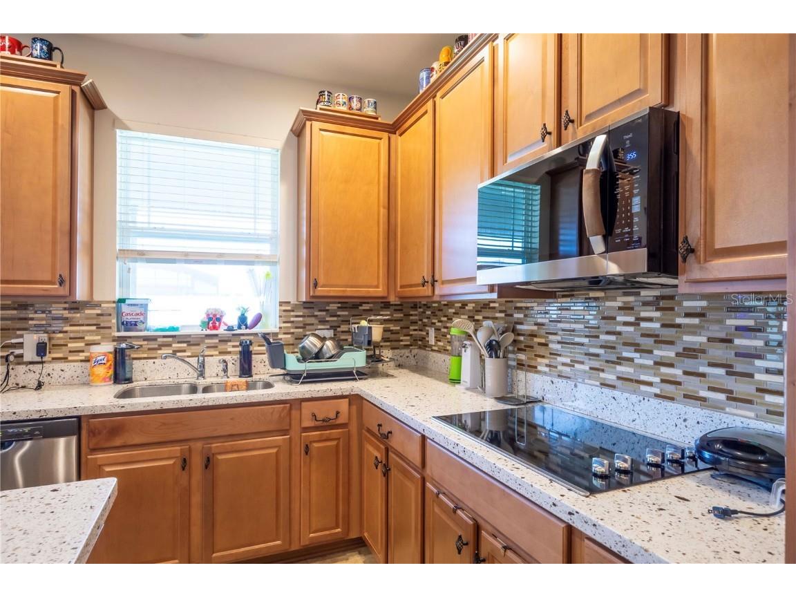 16079 Black Hickory Drive Winter Garden FL 34787 O6343640 image14