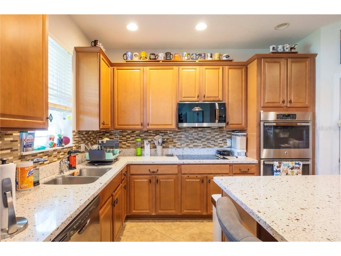 16079 Black Hickory Drive Winter Garden FL 34787 O6343640 image15