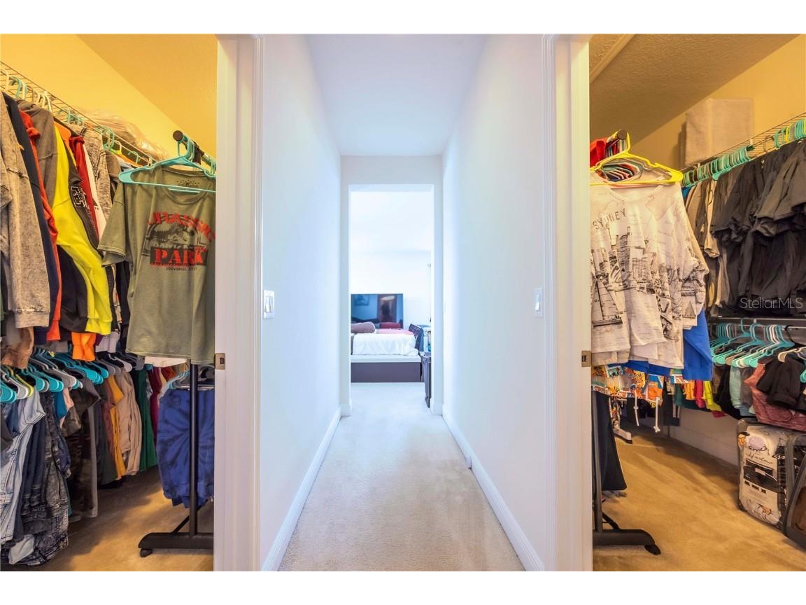 16079 Black Hickory Drive Winter Garden FL 34787 O6343640 image22