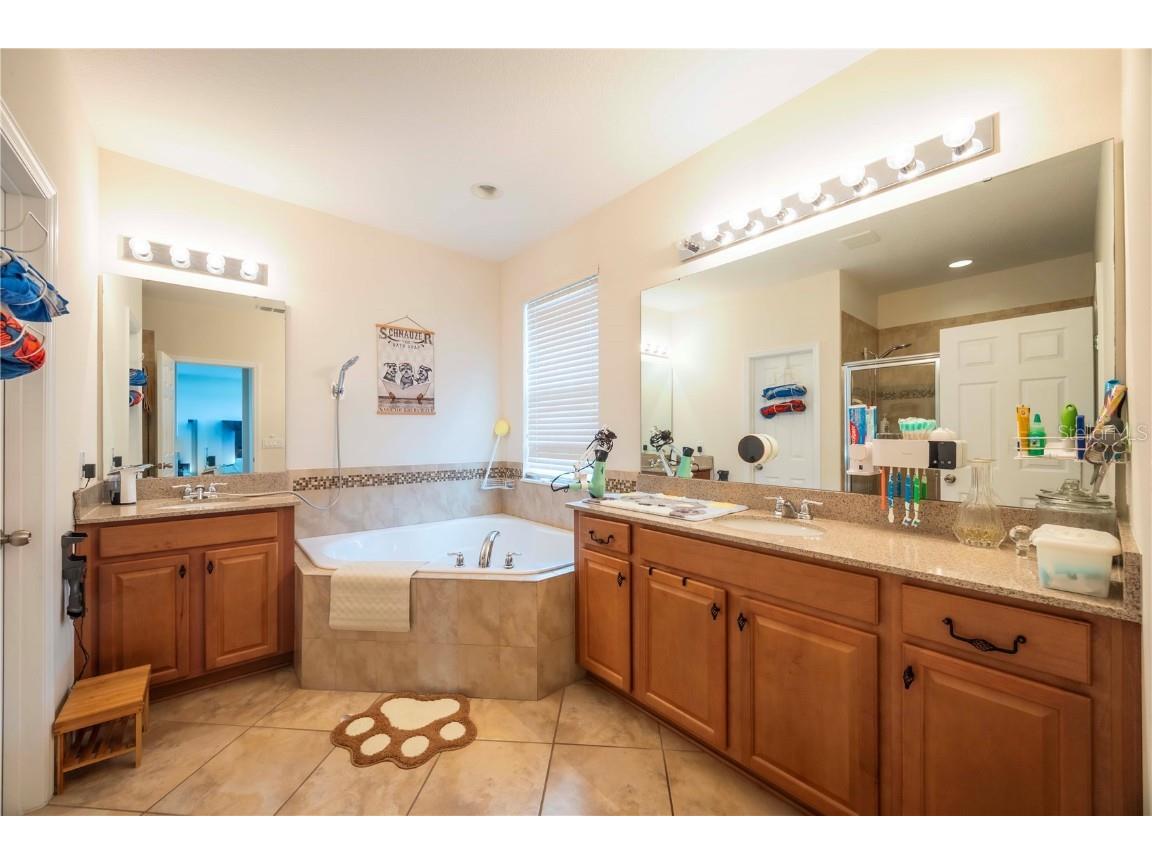 16079 Black Hickory Drive Winter Garden FL 34787 O6343640 image23