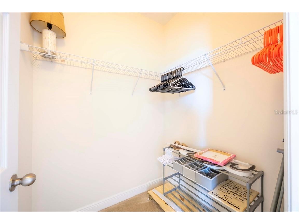 16079 Black Hickory Drive Winter Garden FL 34787 O6343640 image31