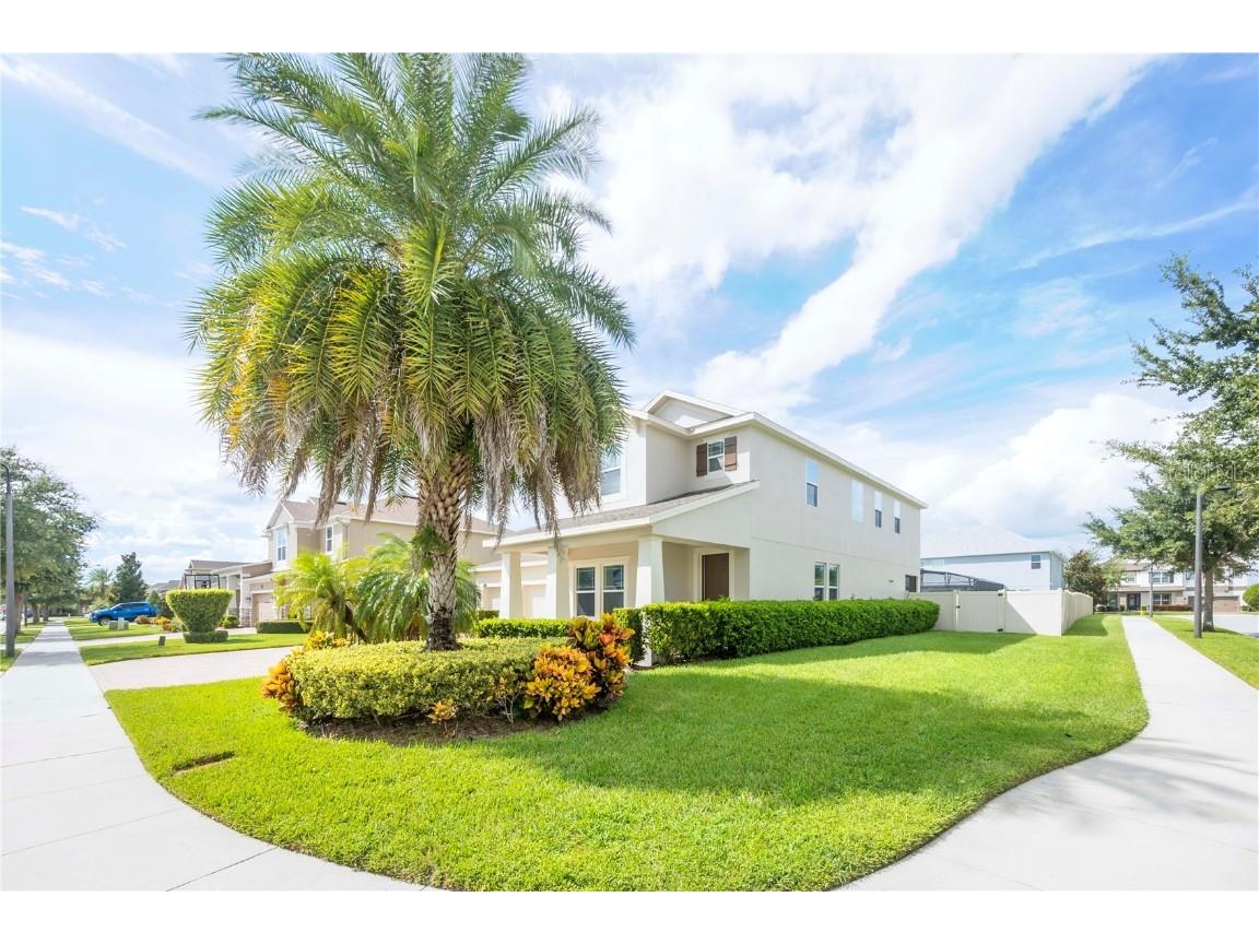 16079 Black Hickory Drive Winter Garden FL 34787 O6343640 image5