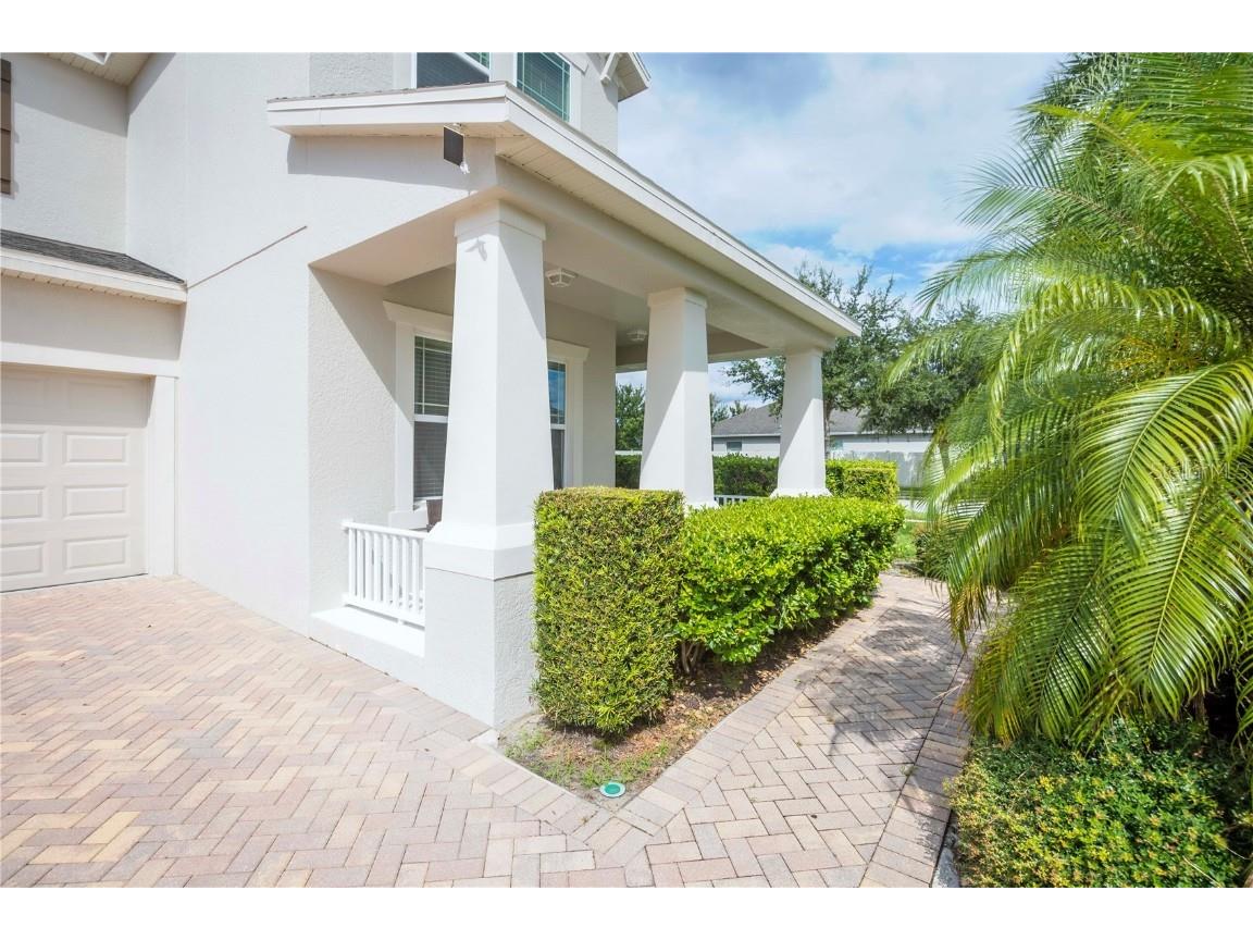 16079 Black Hickory Drive Winter Garden FL 34787 O6343640 image6