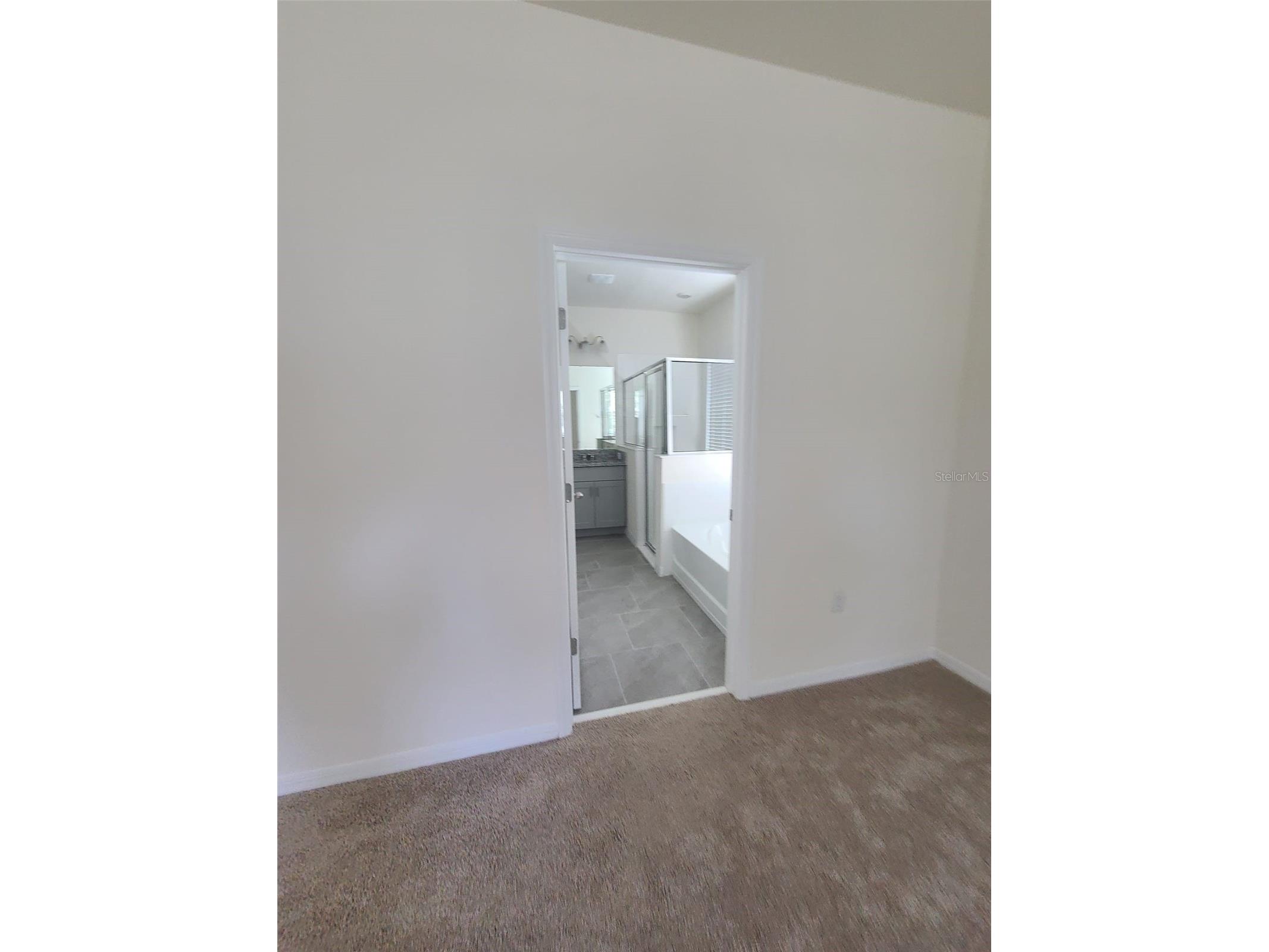 1608 Barberry Drive Kissimmee FL 34744 S5142703 image47