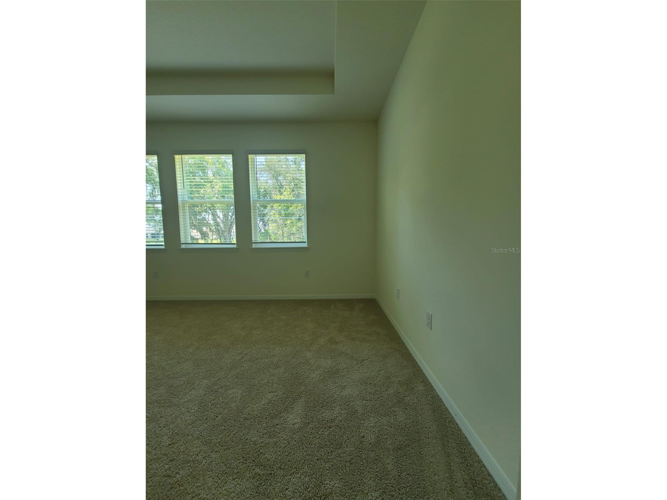 1608 Barberry Drive Kissimmee FL 34744 S5142703 image59