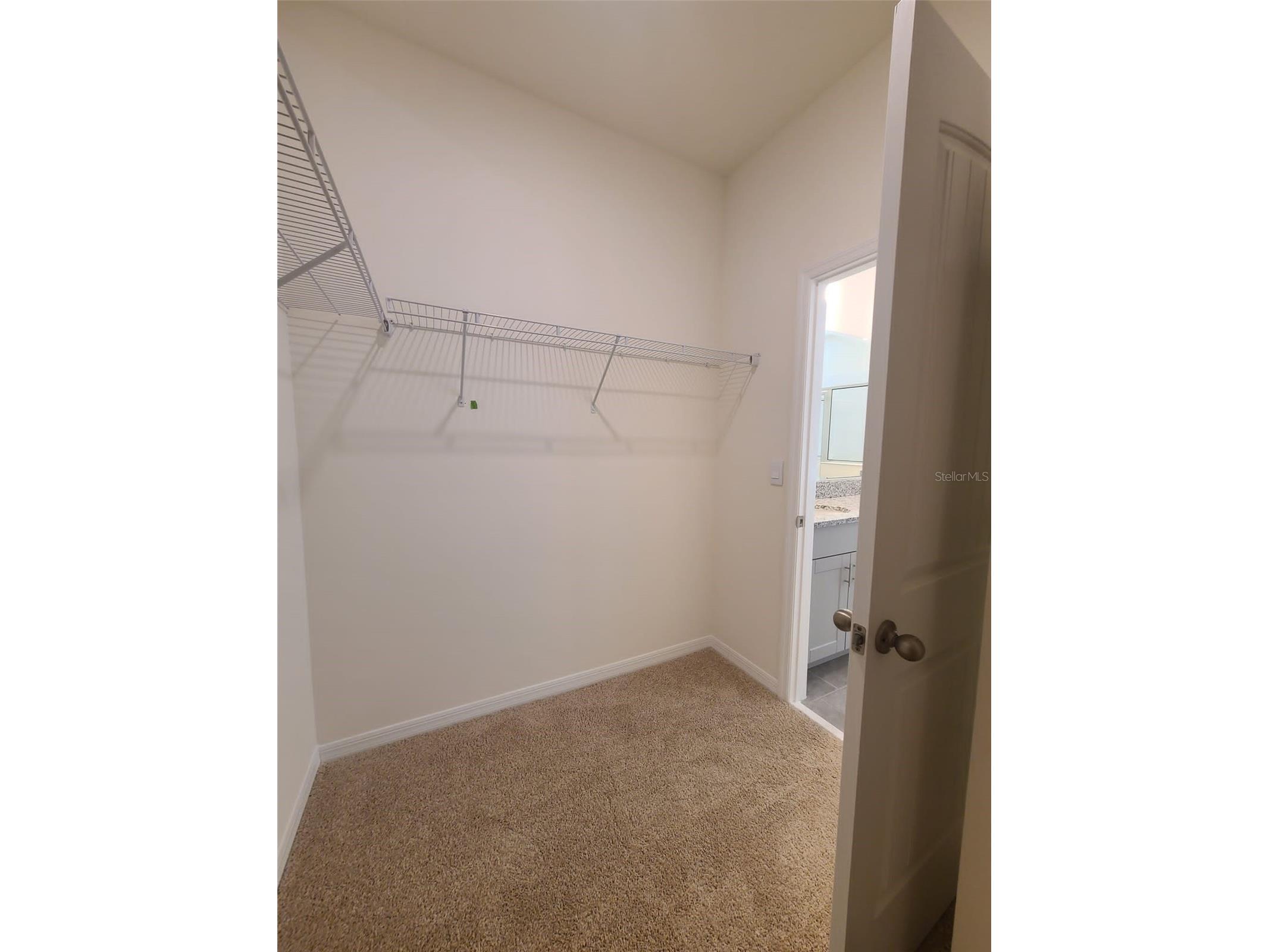 1608 Barberry Drive Kissimmee FL 34744 S5142703 image61