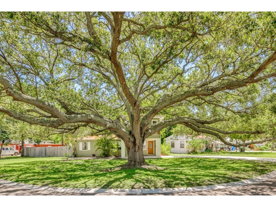 1608 Canterbury Road N Saint Petersburg FL 33710 U8189564 image1