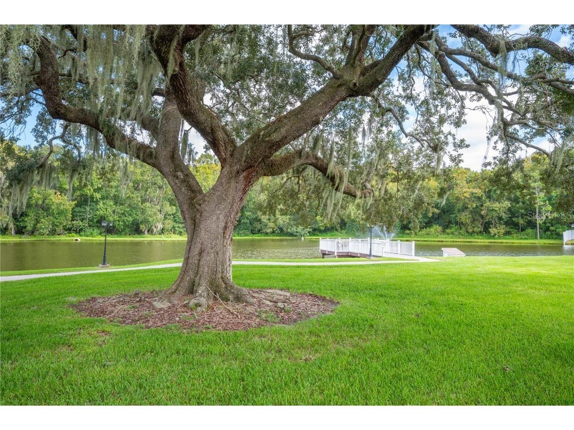 1608 Colonnades Circle N Lakeland FL 33811 L4953260 image37