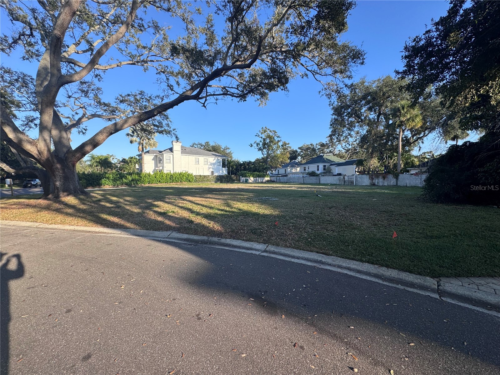 1608 Culbreath Isles Drive Tampa FL 33629 TB8463299 image1