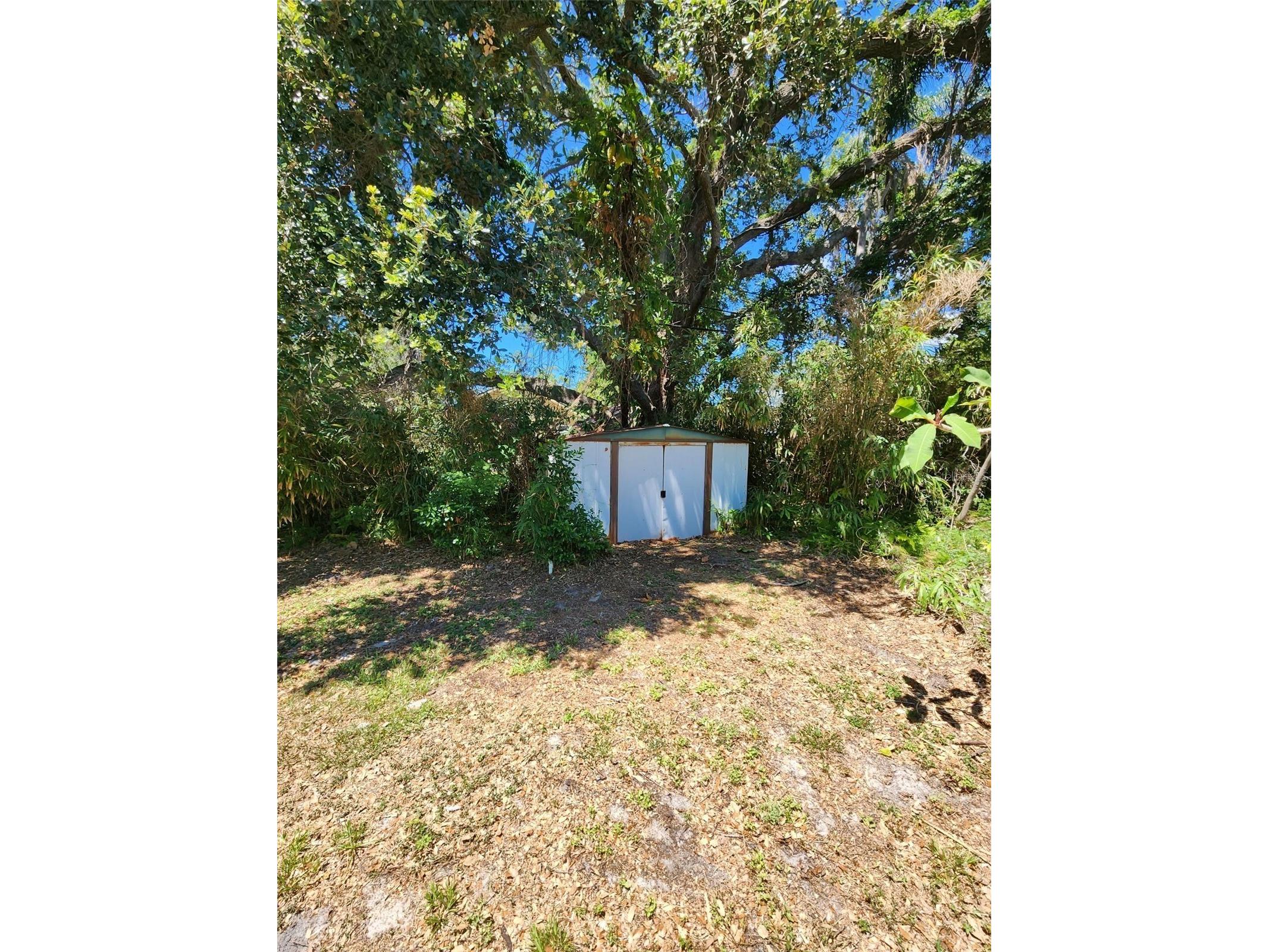 1608 Edna Avenue Largo FL 33770 TB8509013 image30