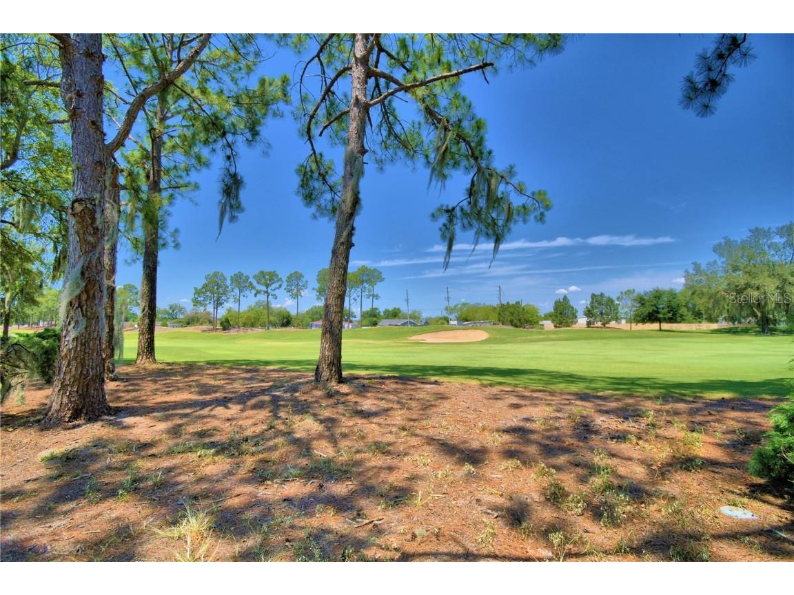 1608 Forest Hills Lane Haines City FL 33844 P4930548 image50