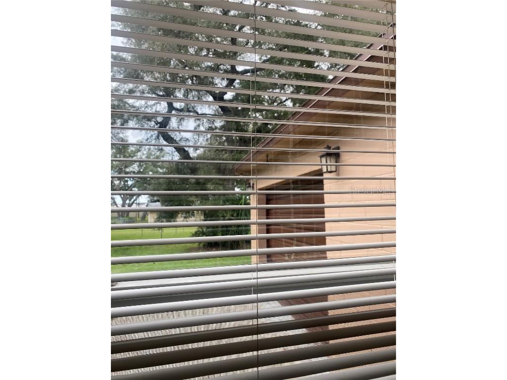 1608 Long Lane Apopka FL 32703 S5132596 image20