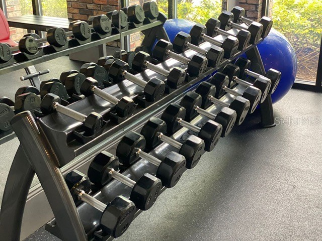 1608 Pelican Drive Davenport FL 33896 O6324716 image58