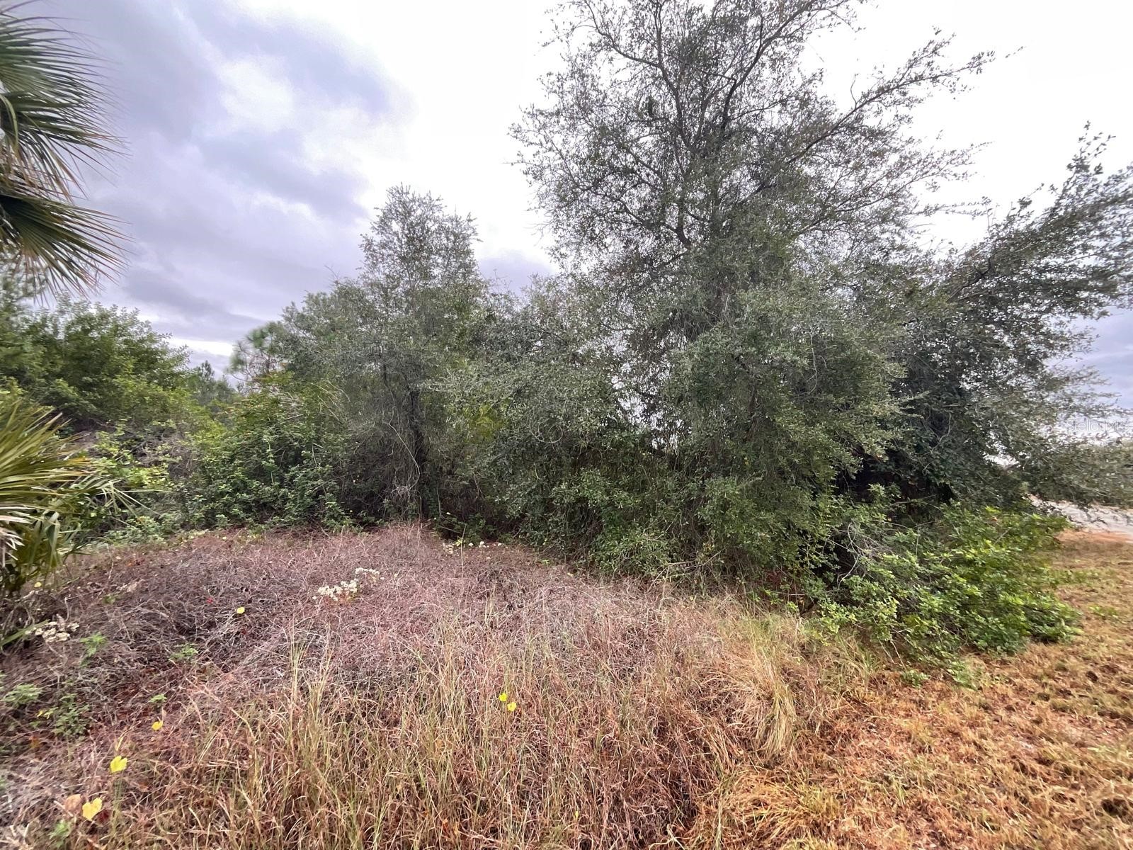 1608 Scott Avenue Lehigh Acres FL 33972 FC315214 image2