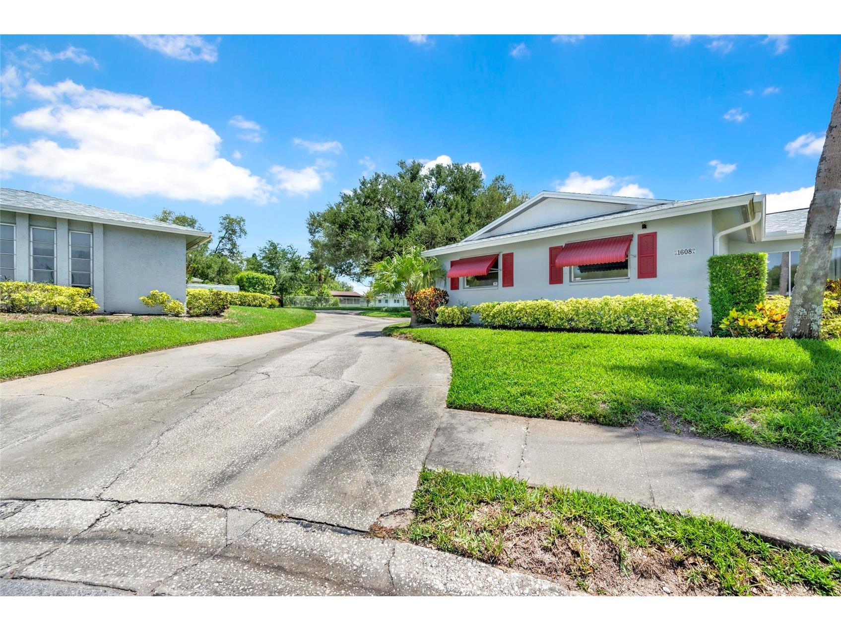 1608 Whitebridge Drive #B Palm Harbor FL 34684 TB8512823 image2
