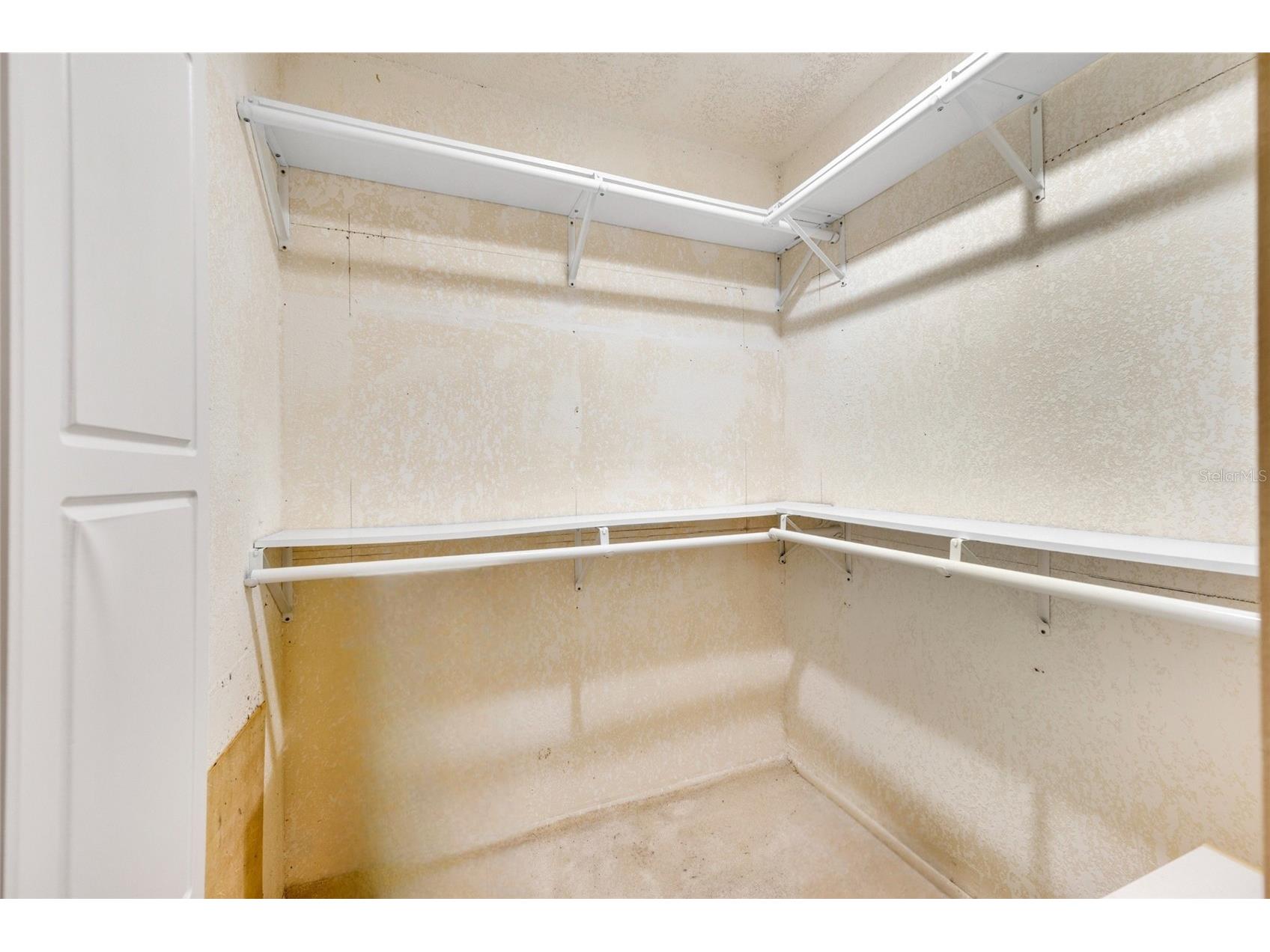 1608 Whitebridge Drive #B Palm Harbor FL 34684 TB8512823 image24