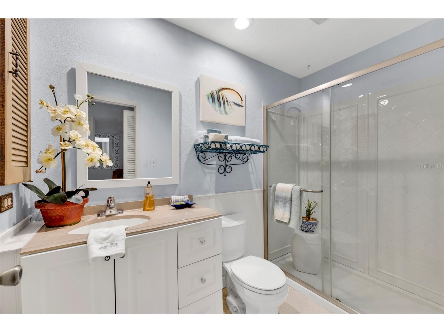 1608 Whitebridge Drive #B Palm Harbor FL 34684 TB8512823 image25