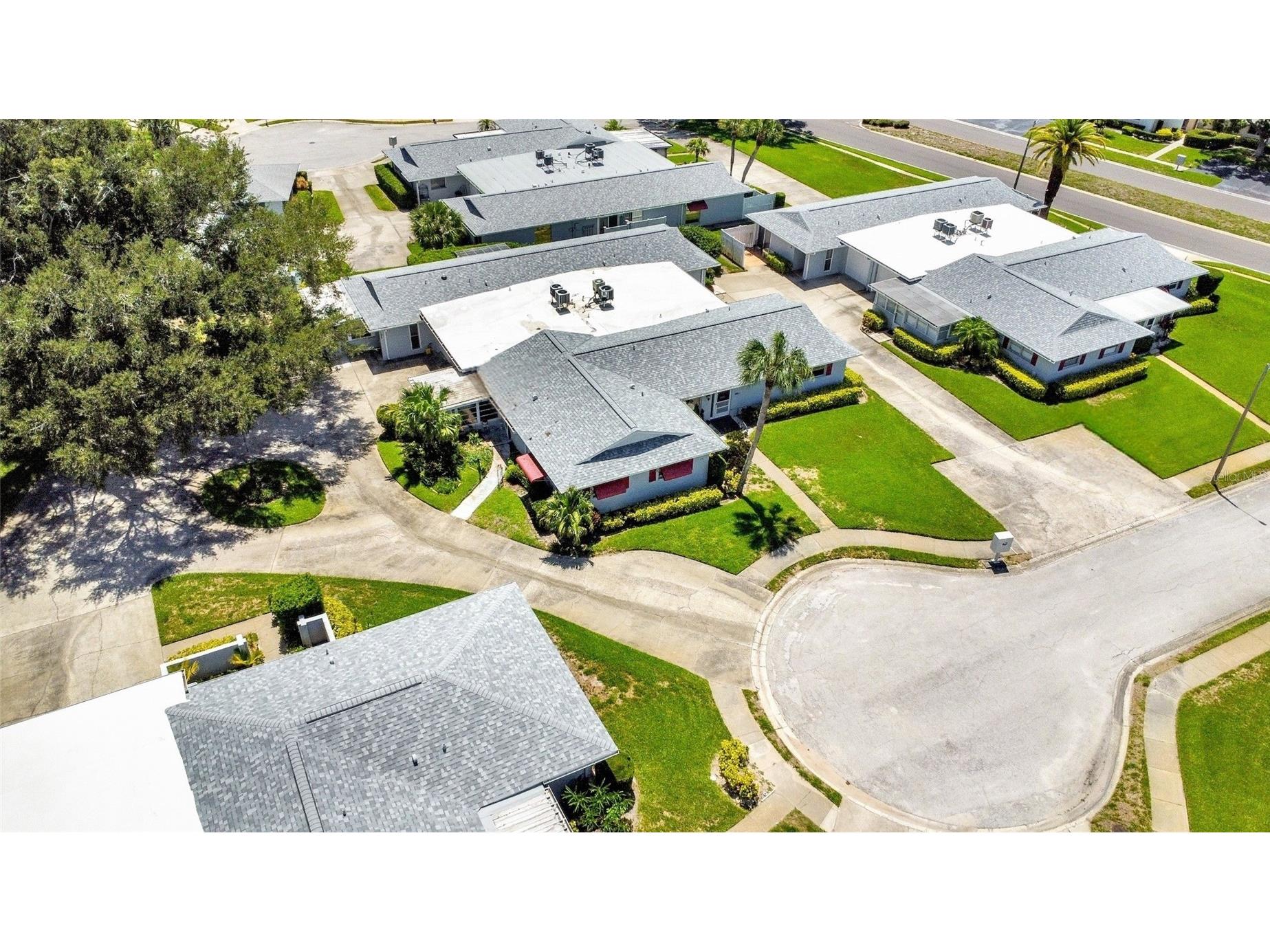 1608 Whitebridge Drive #B Palm Harbor FL 34684 TB8512823 image27