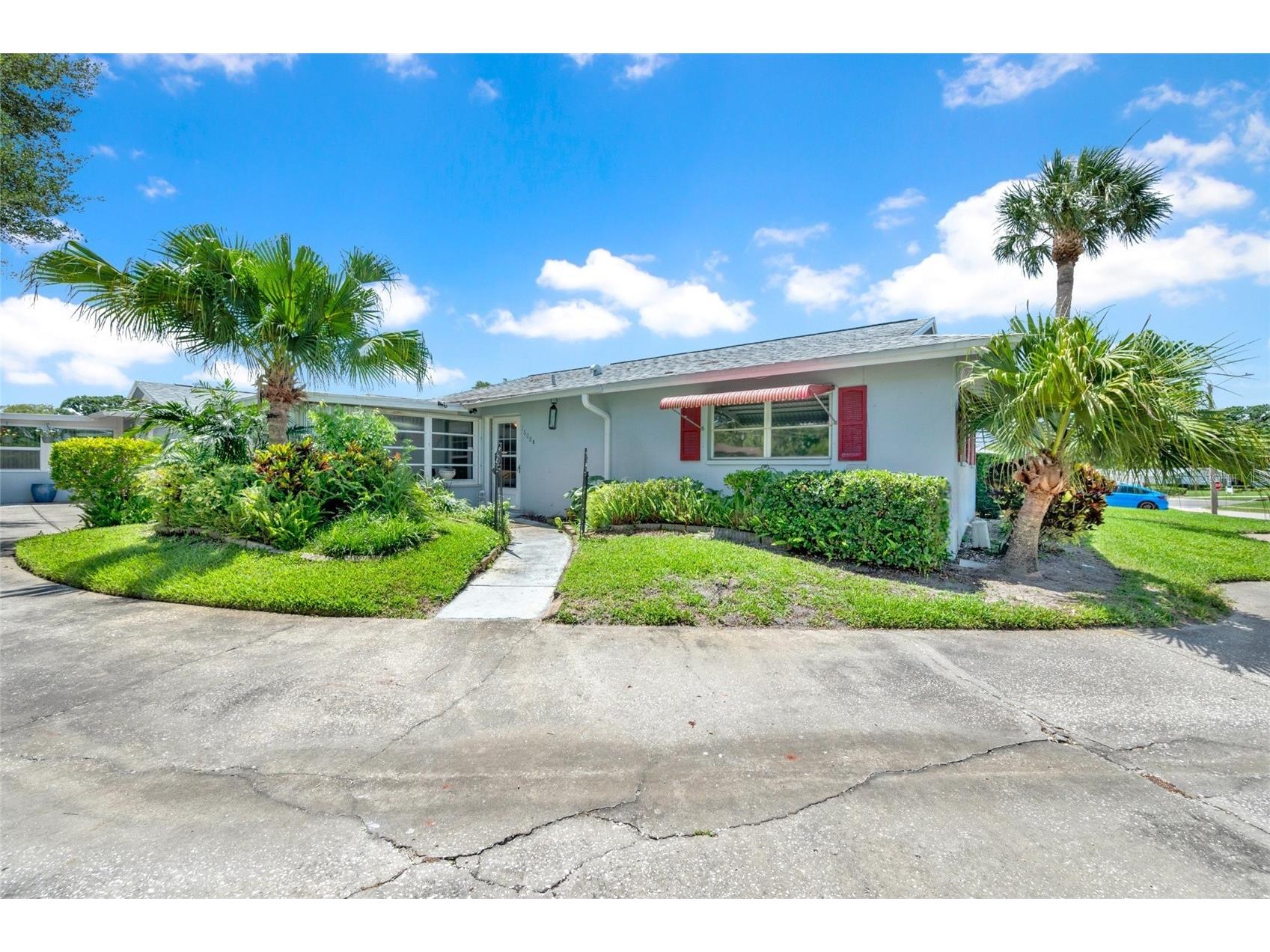 1608 Whitebridge Drive #B Palm Harbor FL 34684 TB8512823 image3