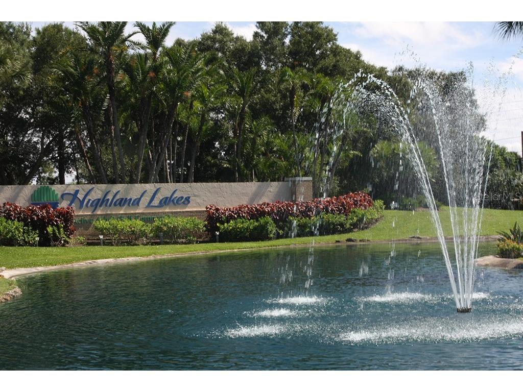 1608 Whitebridge Drive #B Palm Harbor FL 34684 TB8512823 image30