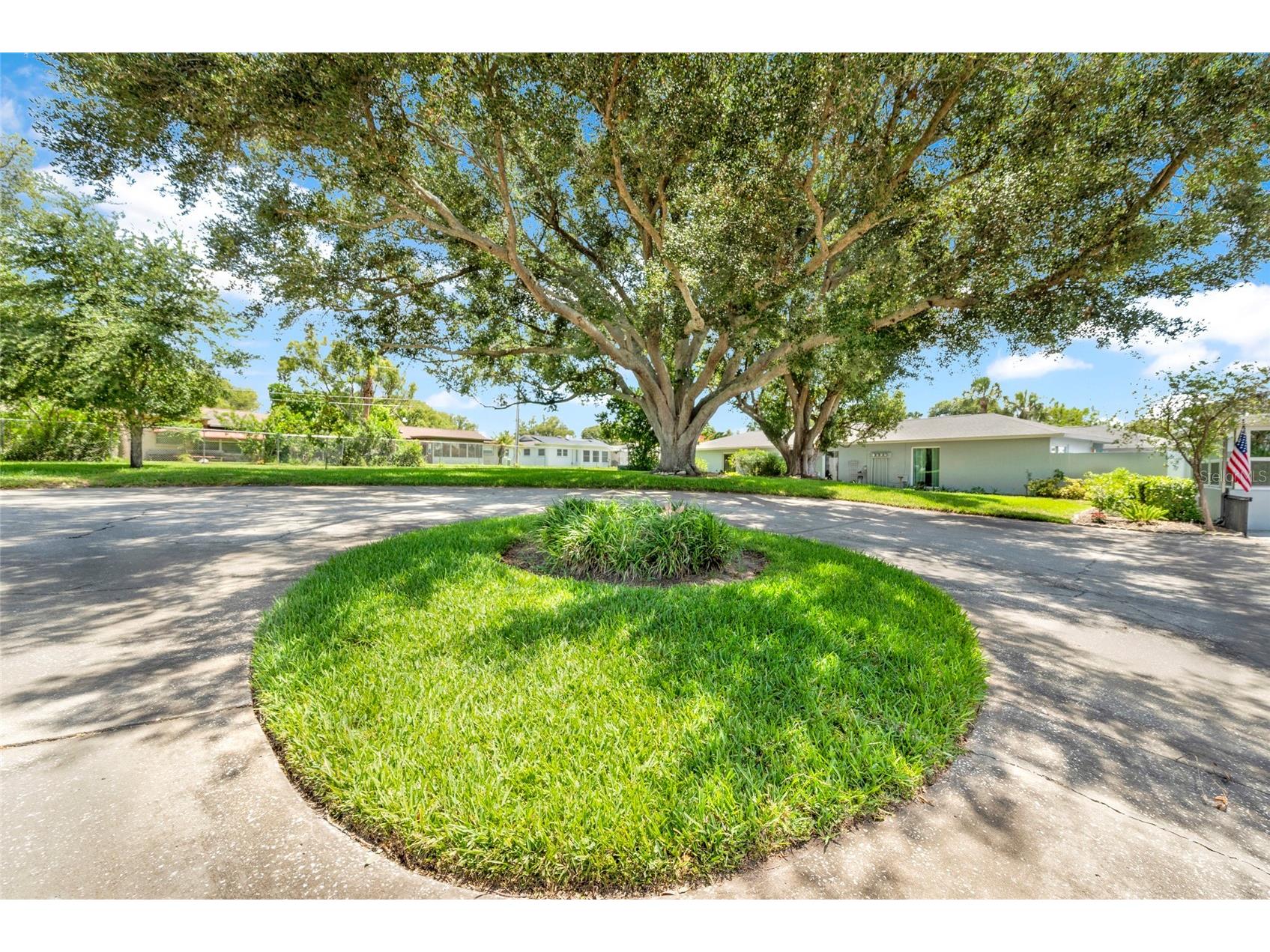 1608 Whitebridge Drive #B Palm Harbor FL 34684 TB8512823 image4
