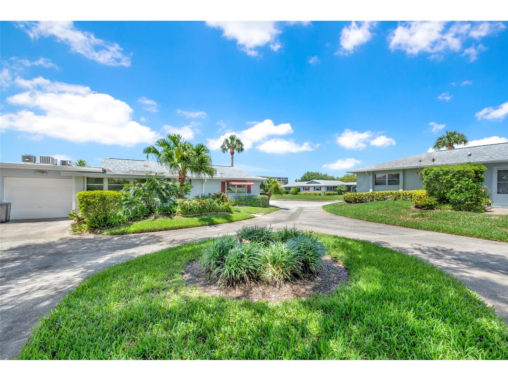 1608 Whitebridge Drive #B Palm Harbor FL 34684 TB8512823 image5