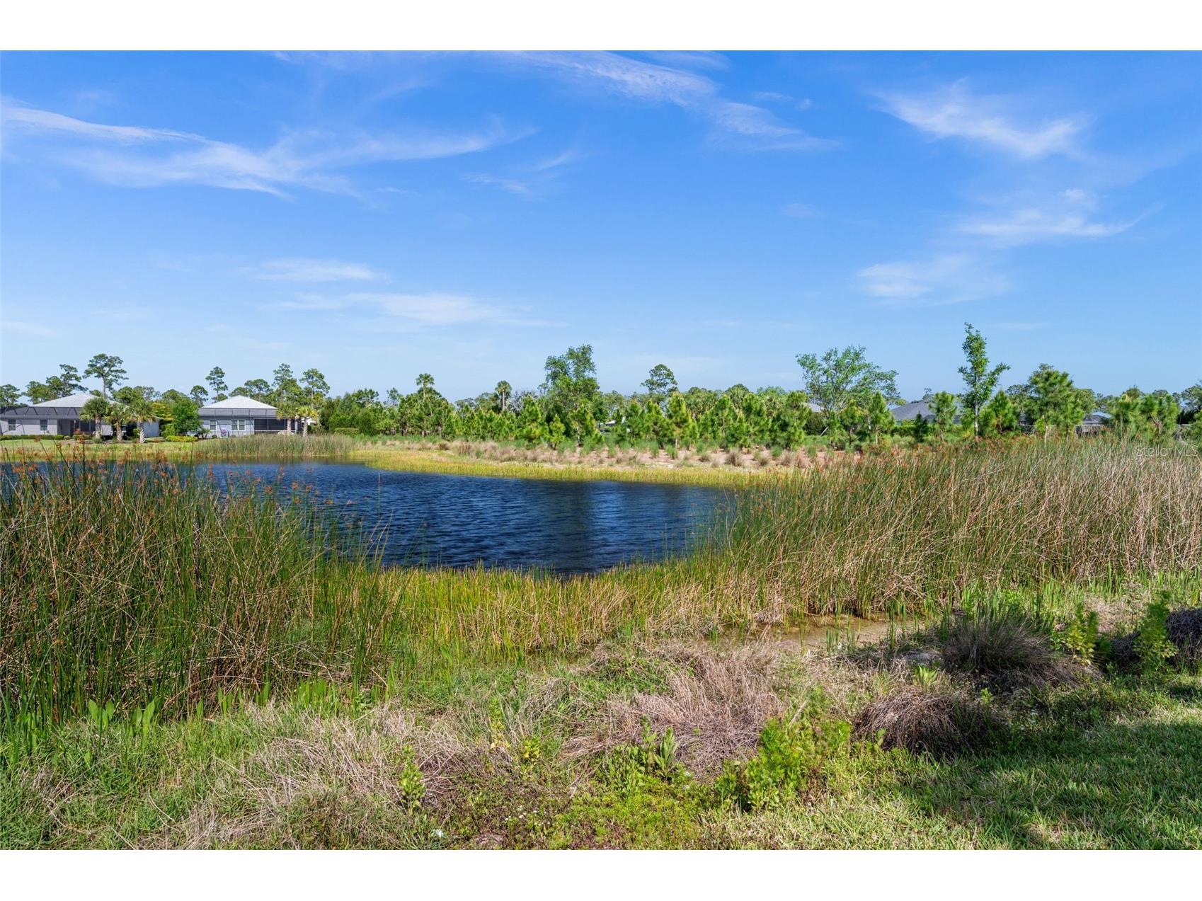 16081 Pennyroyal Lane Punta Gorda FL 33982 C7524790 image42