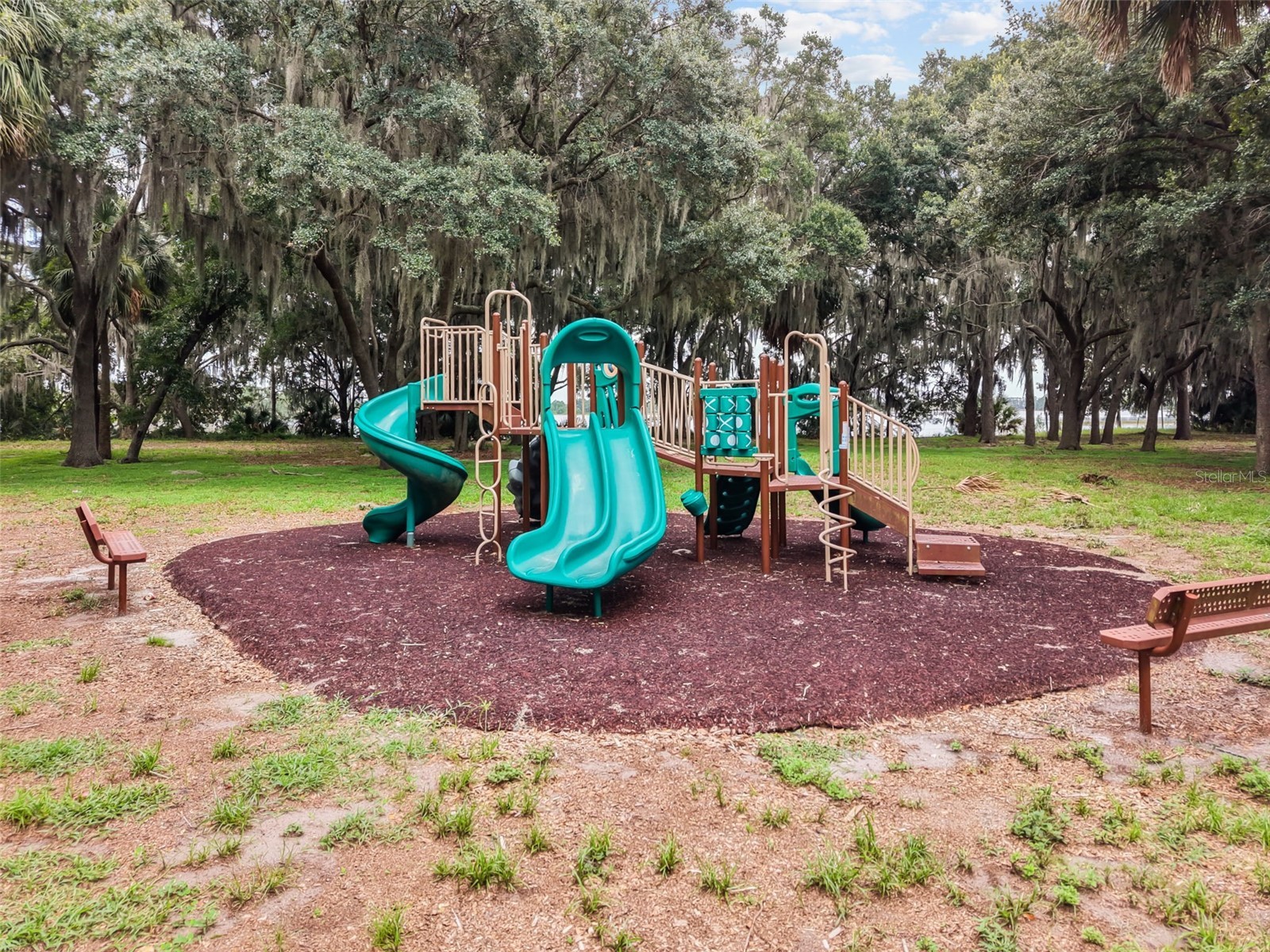 16082 Hampton Crossing Drive Winter Garden FL 34787 O6420606 image47