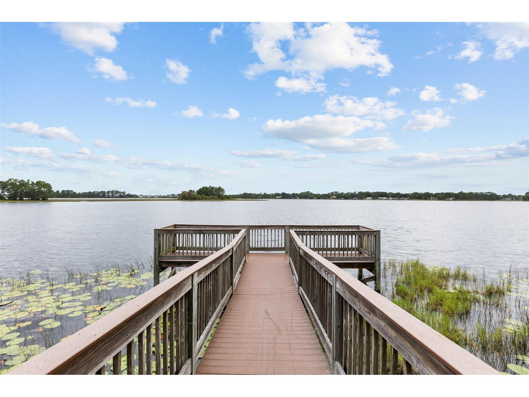 16082 Hampton Crossing Drive Winter Garden FL 34787 O6420606 image57