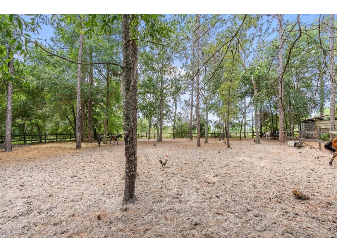 16082 SW 24th Place Ocala FL 34481 OM703081 image22