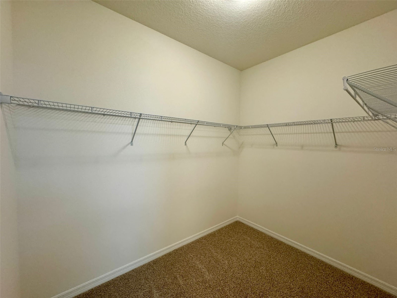 16085 Scarpetta Street Winter Garden FL 34787 O6393325 image12