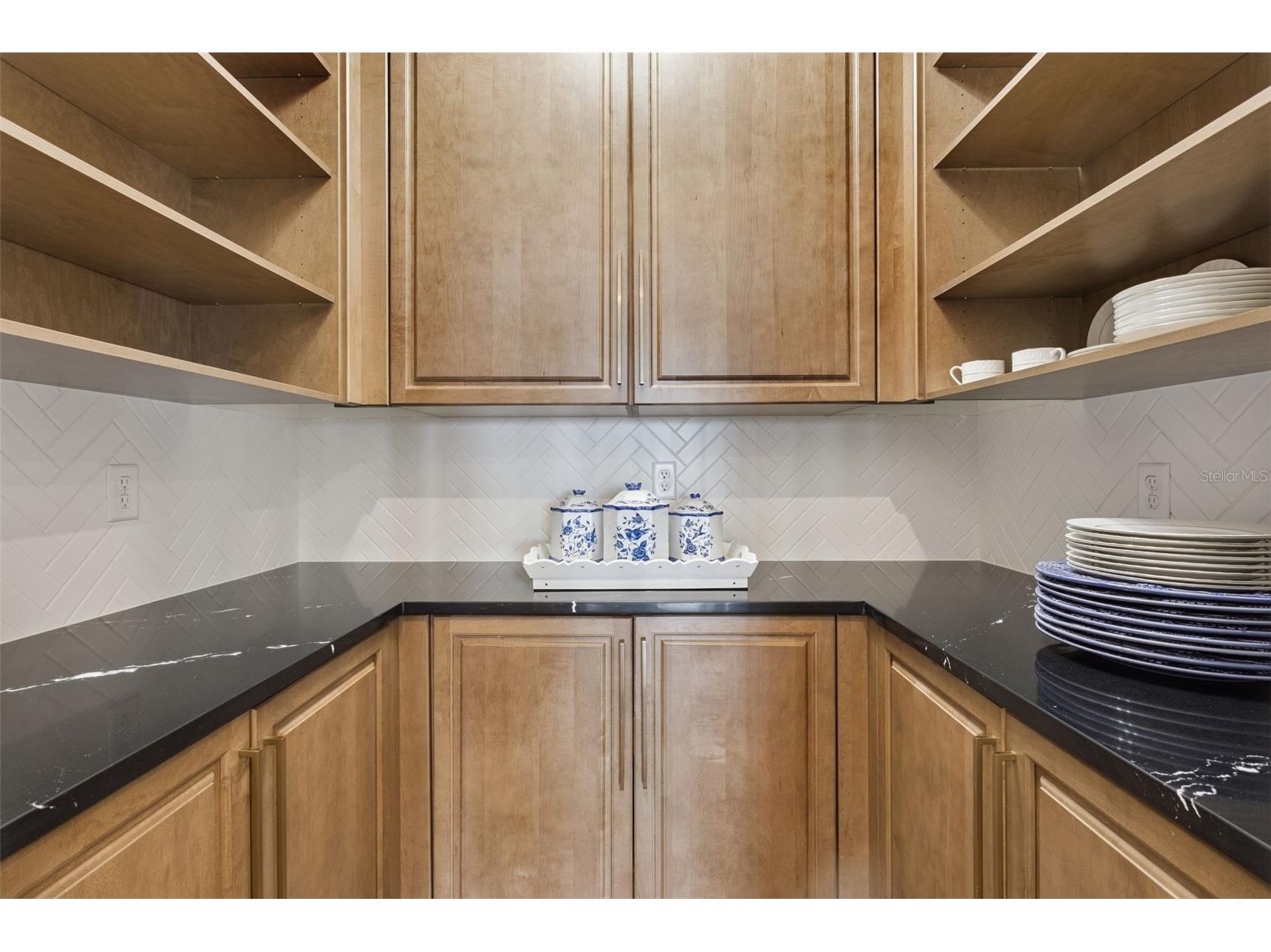 1609 Bellagio Loop Tavares FL 32778 O6378652 image16