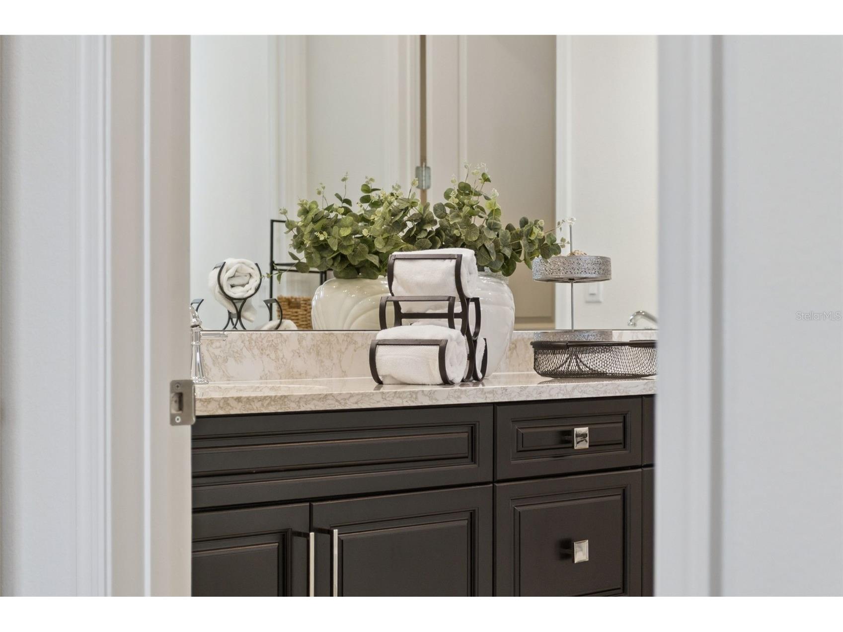 1609 Bellagio Loop Tavares FL 32778 O6378652 image31