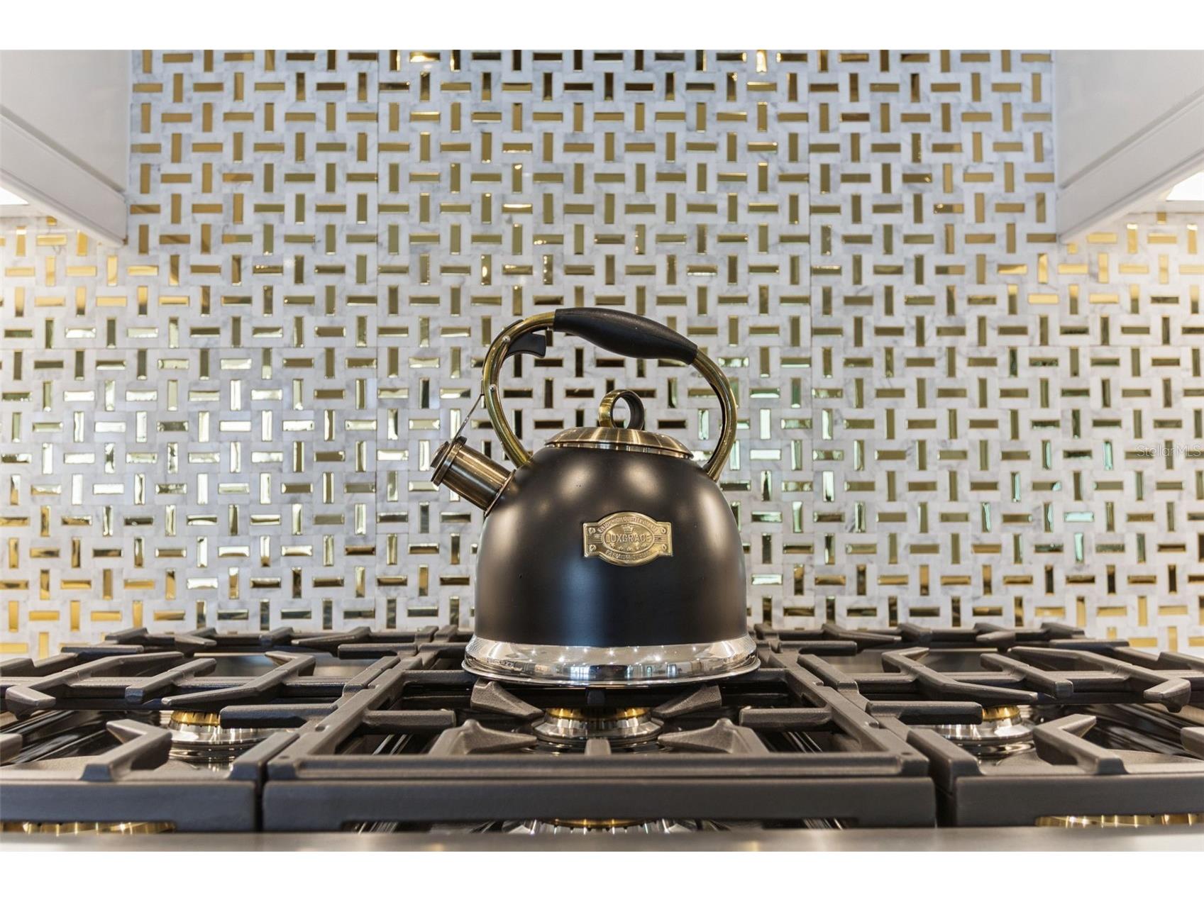 1609 Bellagio Loop Tavares FL 32778 O6378652 image8