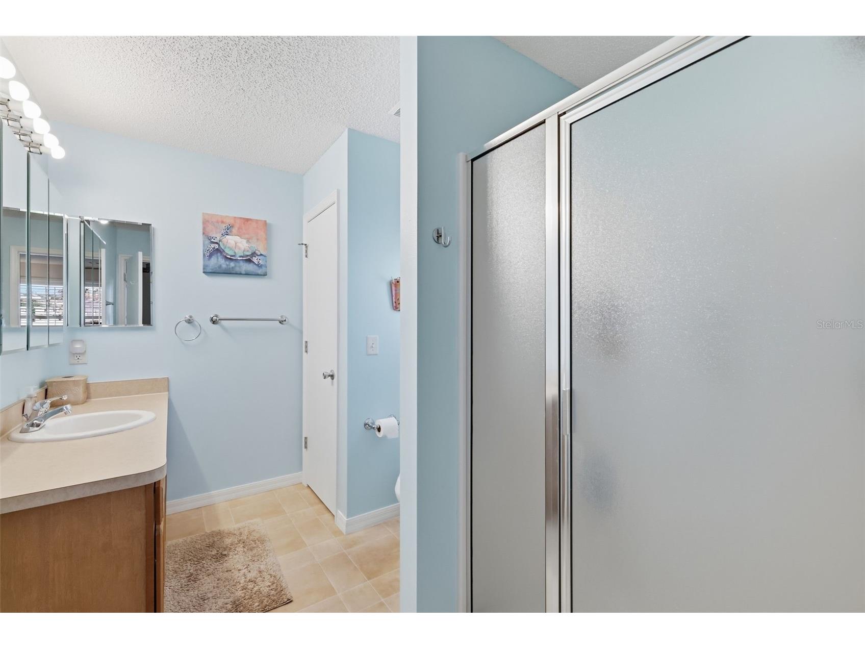 1609 Blossom Terrace The Villages FL 32162 G5110982 image14