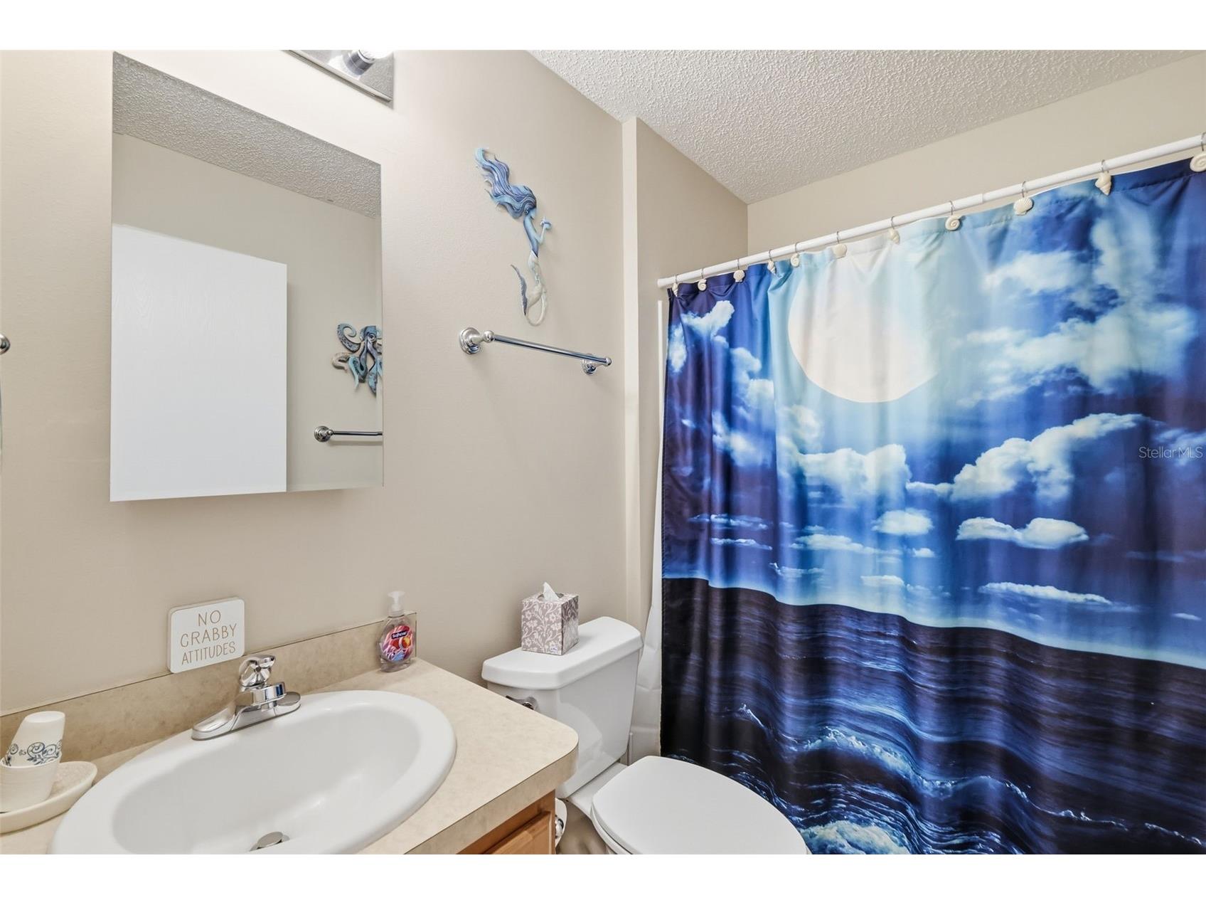 1609 Blossom Terrace The Villages FL 32162 G5110982 image18