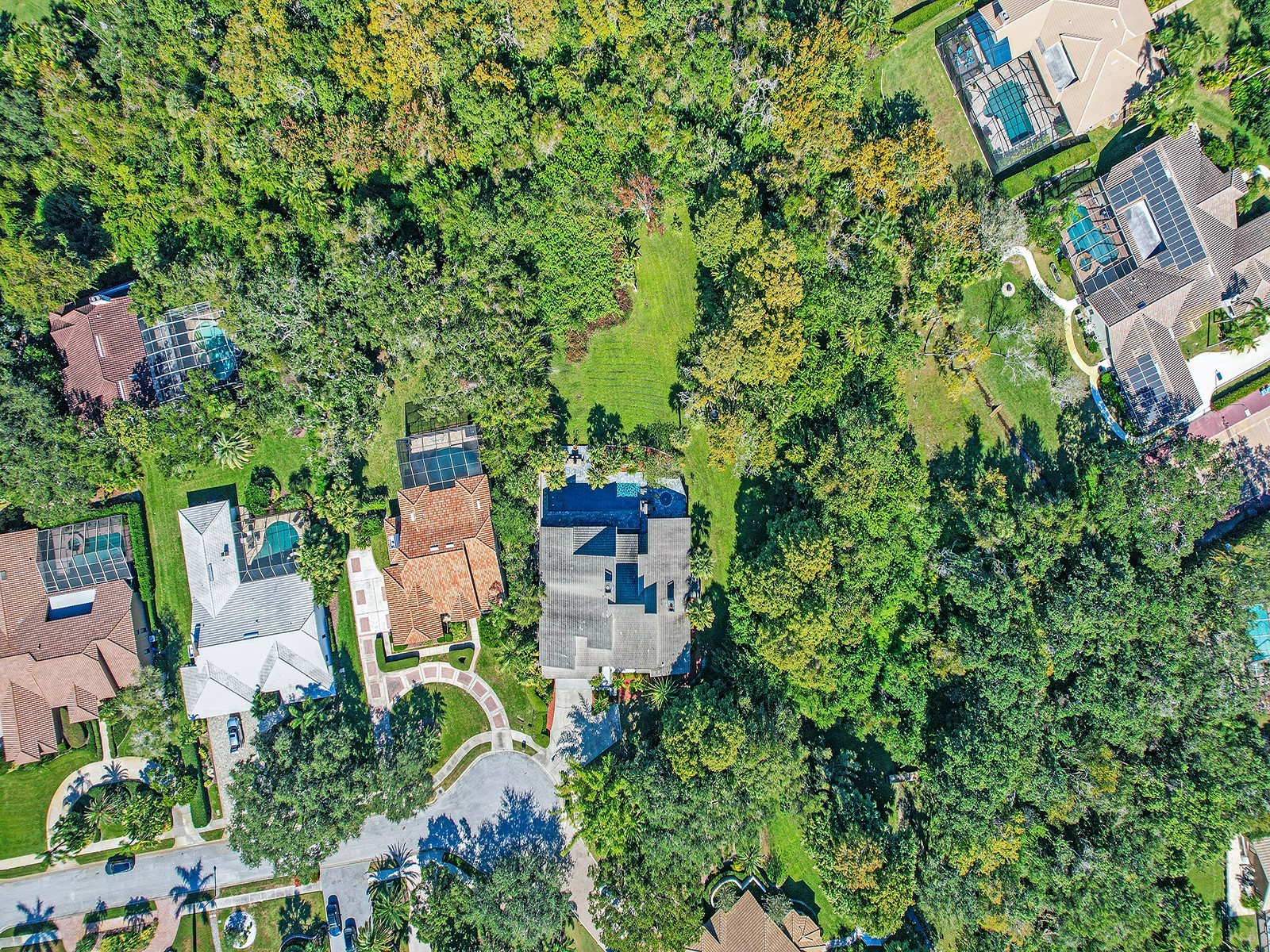 1609 Hampton Court Safety Harbor FL 34695 TB8462902 image11
