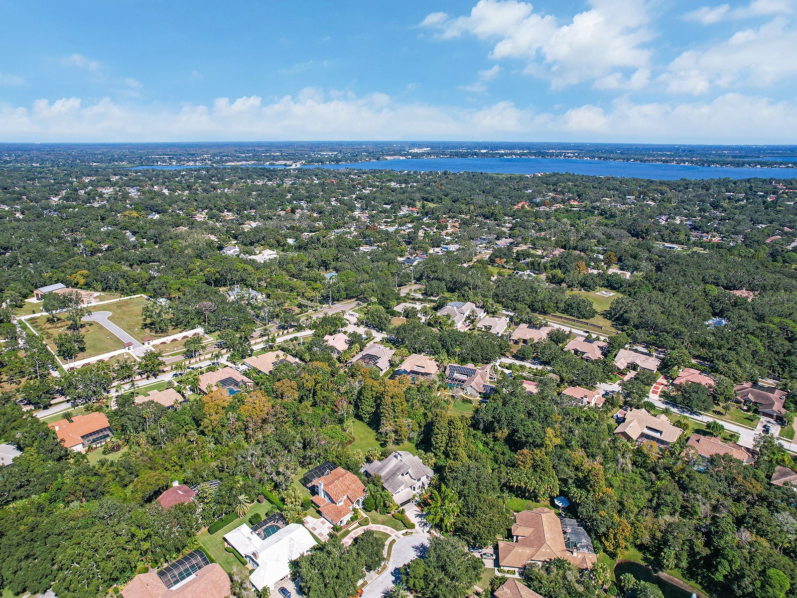 1609 Hampton Court Safety Harbor FL 34695 TB8462902 image14