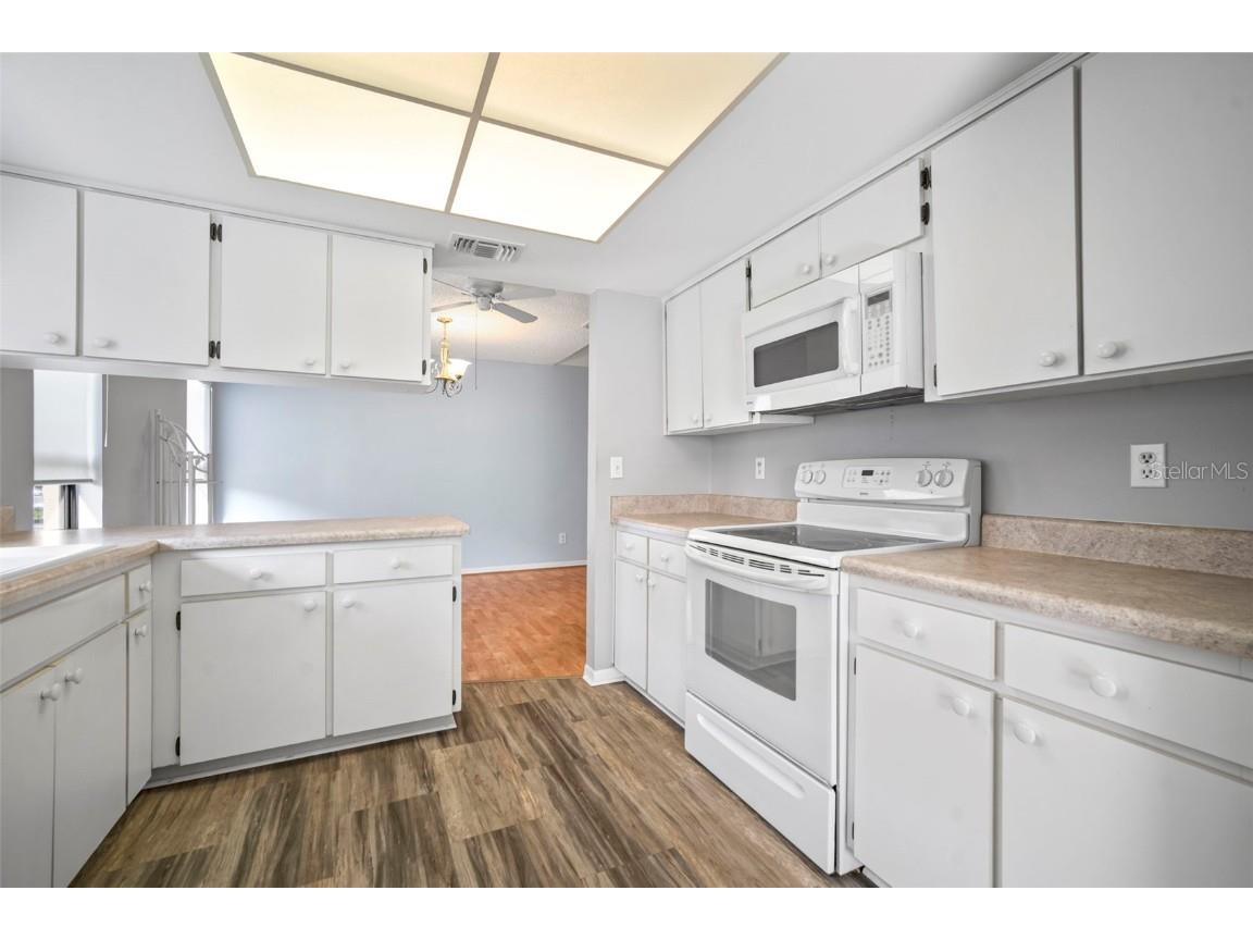 1609 Laughton Place Sun City Center FL 33573 TB8410914 image21