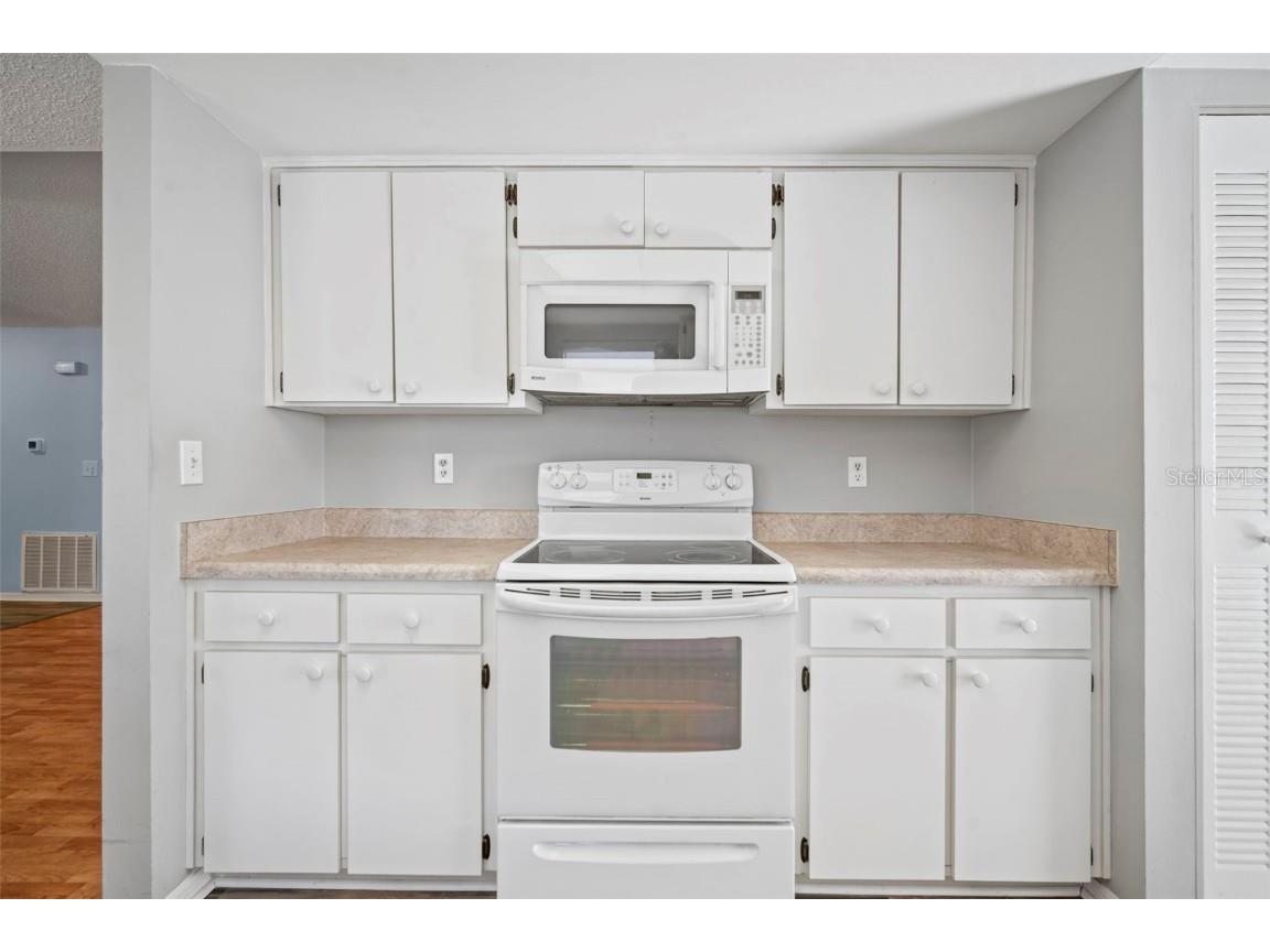 1609 Laughton Place Sun City Center FL 33573 TB8410914 image23