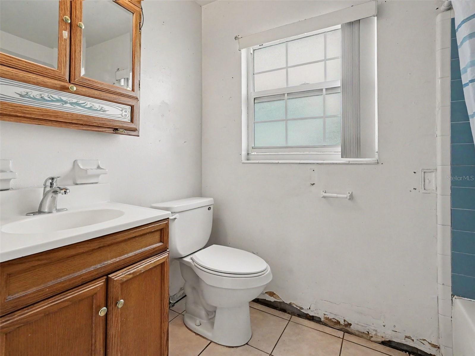 1609 Maureen Avenue Ocoee FL 34761 O6407115 image16