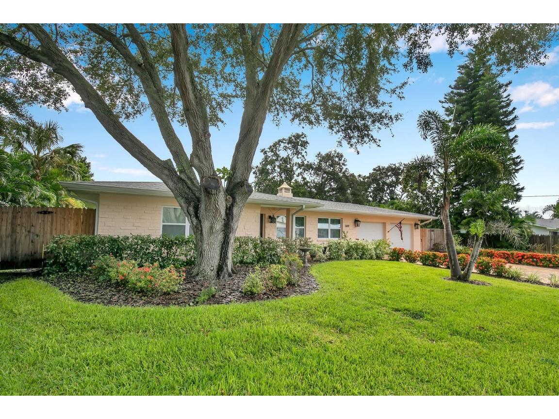 1609 San Roy Drive Dunedin FL 34698 U8135368 image1