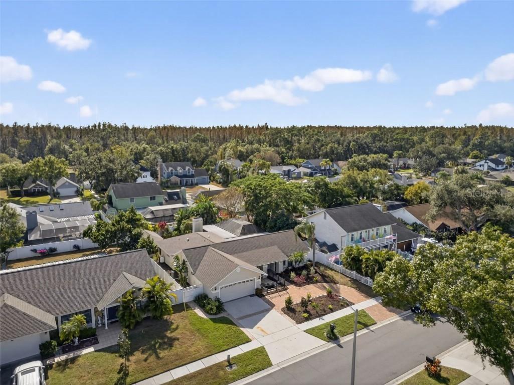 1609 Shady Leaf Drive Valrico FL 33596 TB8453780 image47